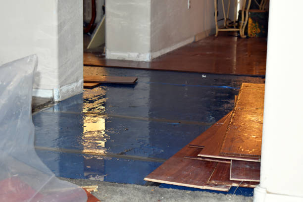 Professional Burst Pipe Cleanup technician working in Cresskill, NJ